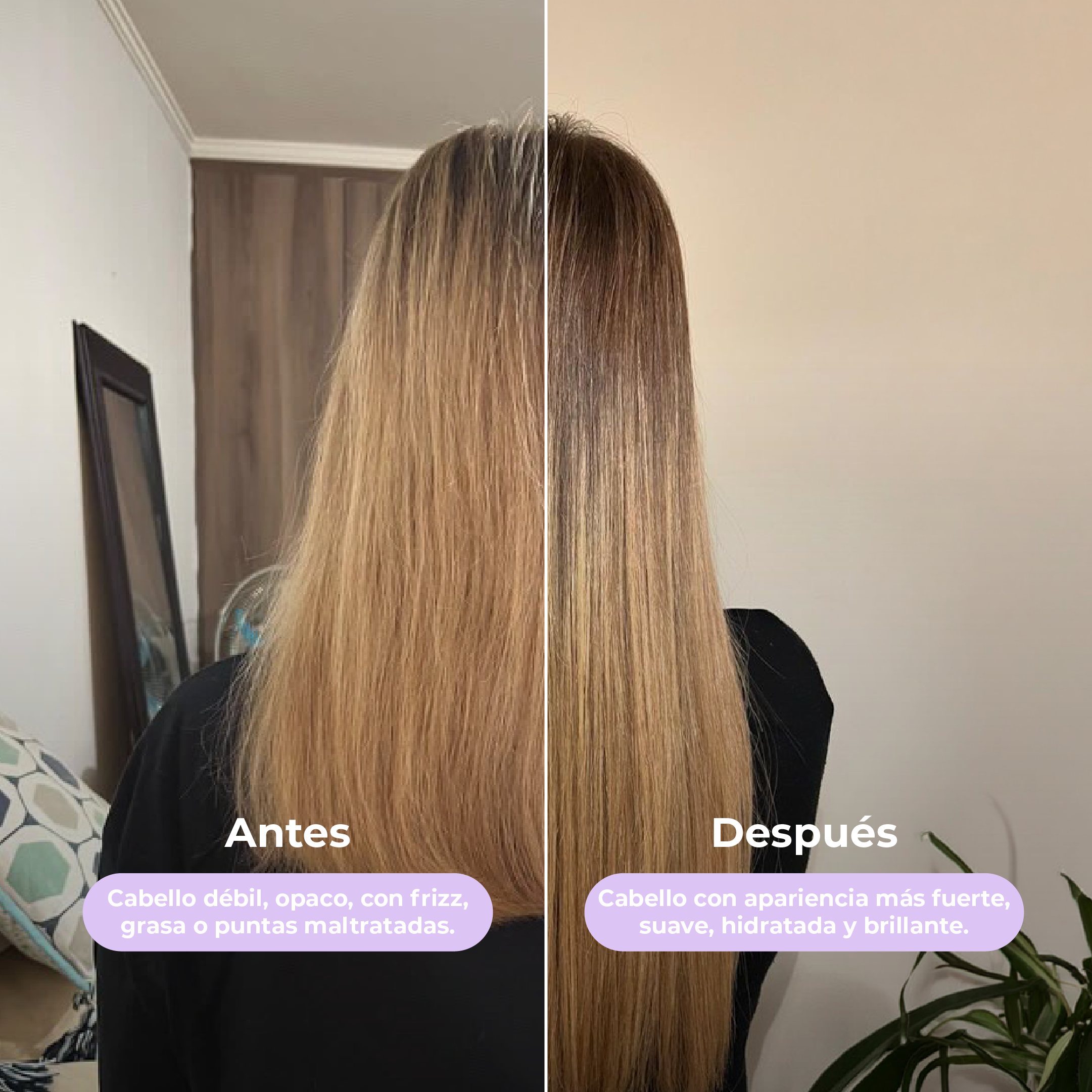 Shampoo y Acondicionador