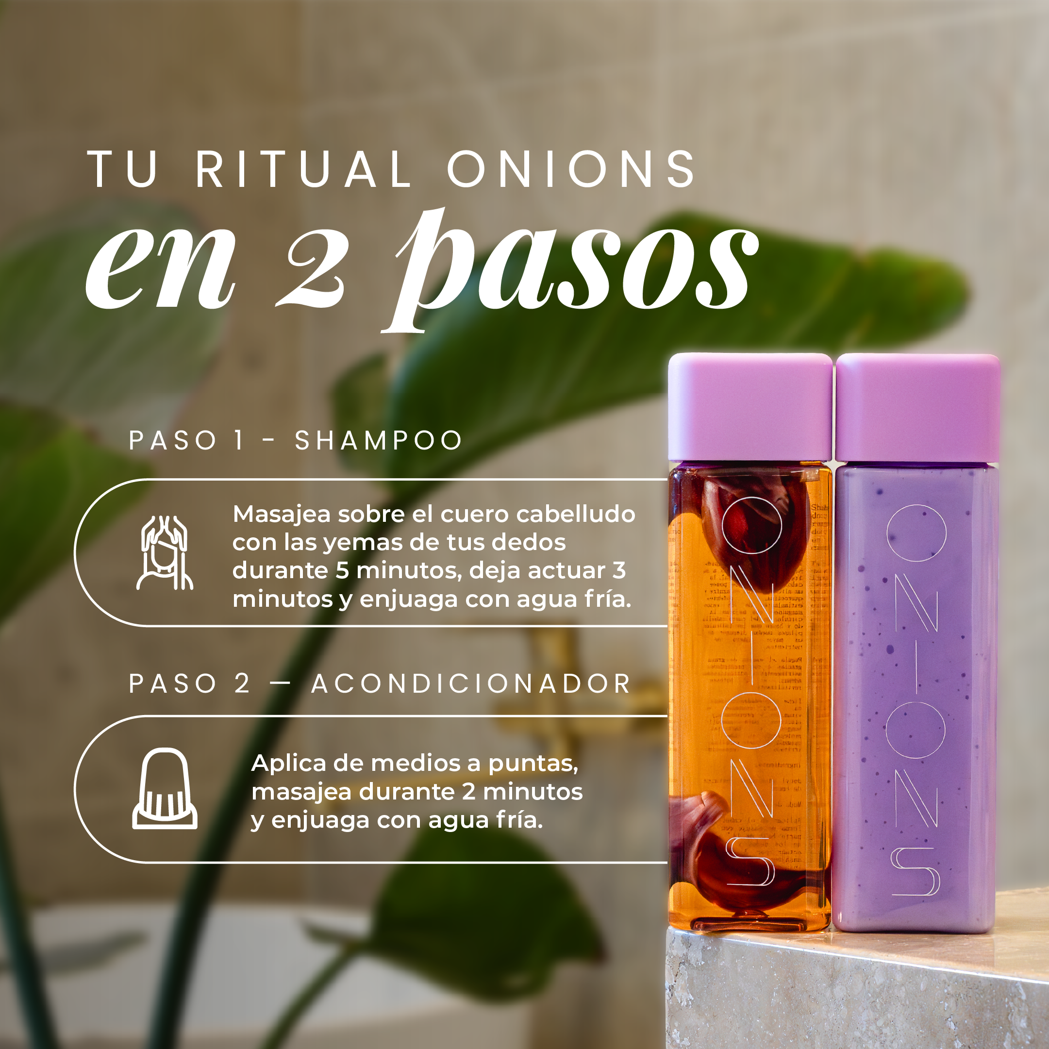 Shampoo y Acondicionador